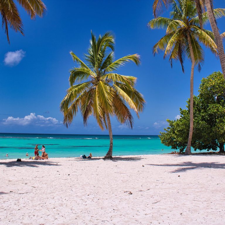 Vibrant tropical beach scene with coconut palms, turquoise water, and white sand under a clear blue sky.